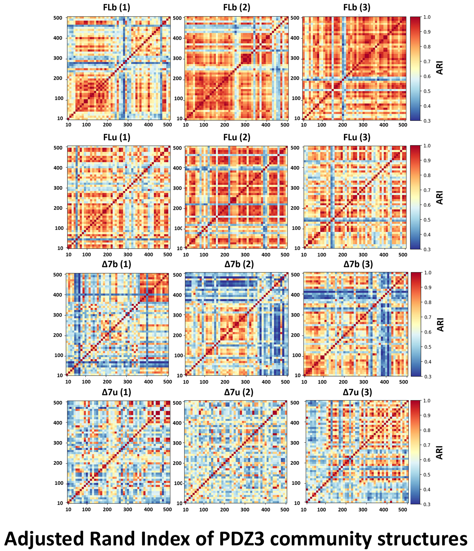 ARI heatmaps for all four PDZ3 constructs across three replicate trajectories.
